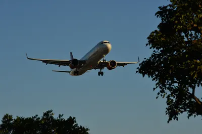 DSC_5693 (Large).JPG